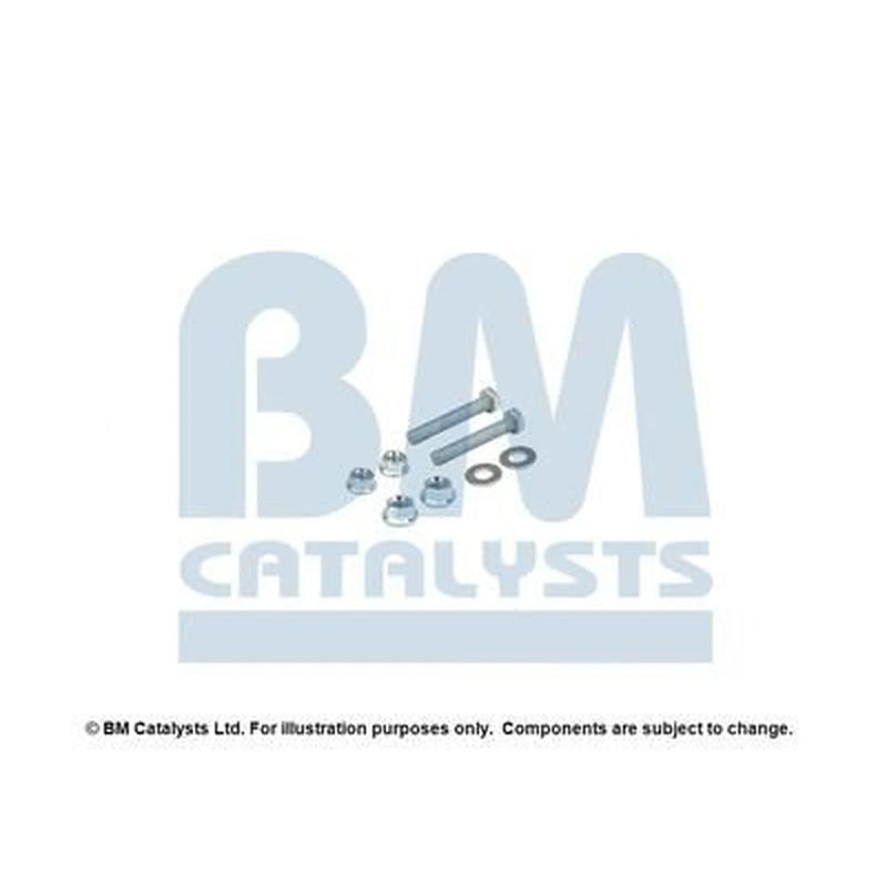 BM Catalysts Fitting Kit FK80300B FK80300B