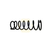 NAPA Rear Suspension Coil Spring NCS1821