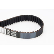 Continental CTAM Timing Belt Cambelt 137 Teeth CT1069