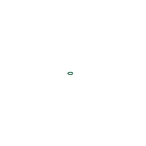 Bosch Rubber Seal Ring 1 928 300 887