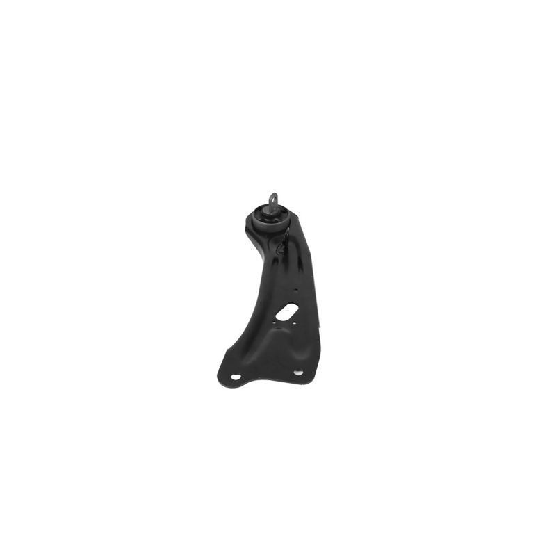 Delphi Control/Trailing Arm Left TC4920