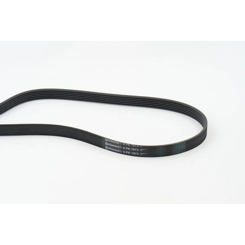 Continental CTAM Multi V-Ribbed Drive Belt 6PK1873