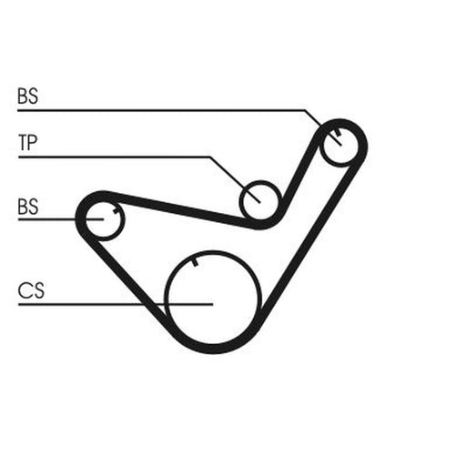 Continental CTAM Timing Belt Cambelt 83 Teeth CT714