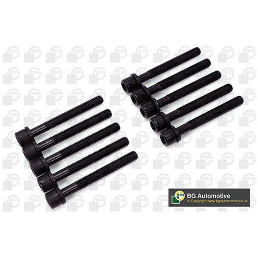 BGA Cylinder Head Bolt Set M11 BK6396