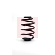 Apec Rear Suspension Coil Spring ACS1149