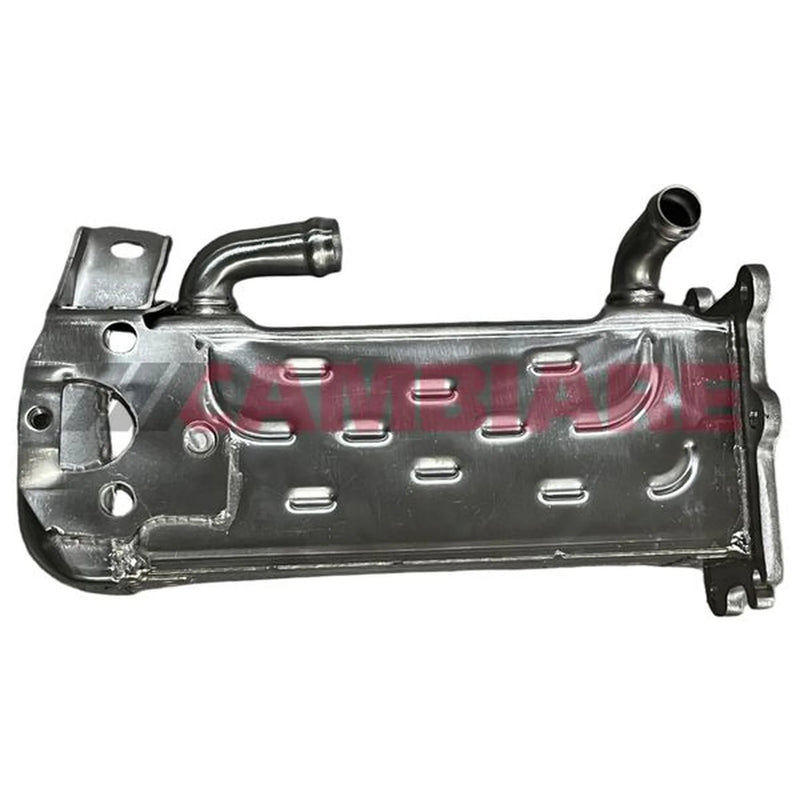 Cambiare EGR Cooler (Exhaust Gas Recirculation) VE360423