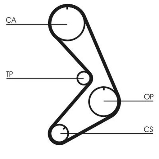 Continental CTAM Timing Belt Cambelt 116 Teeth CT749