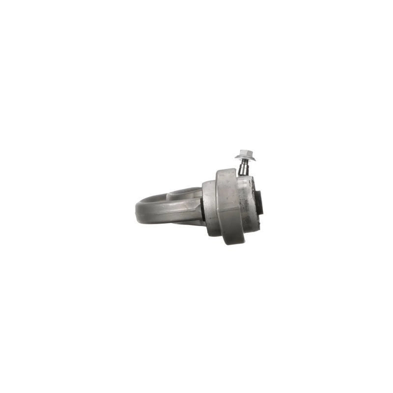 Delphi Control/Trailing Arm Rear TC3444