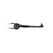 Delphi Control/Trailing Arm Lower TC5542