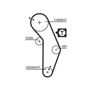 Gates Timing Belt Cambelt 117 Teeth 5350XS
