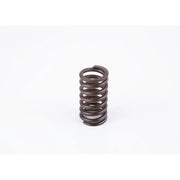 Bosch Compression Spring 2 434 619 017