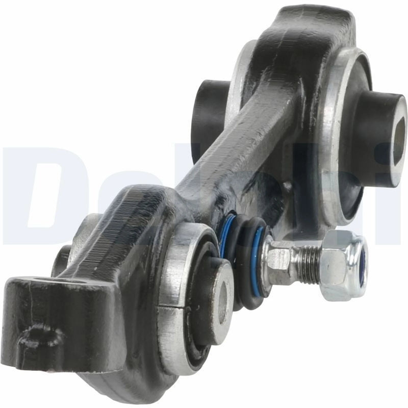 Delphi Control/Trailing Arm Rear TC1384
