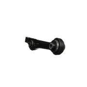 Delphi Control/Trailing Arm Rear TC5546