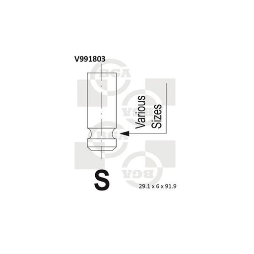 BGA Engine Intake Valve 29mm Head V991803