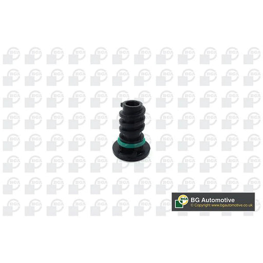 BGA Oil Sump Screw Plug PK5603