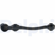 Delphi Control/Trailing Arm Rear TC2229