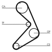 Continental CTAM Timing Belt Cambelt 118 Teeth CT676