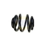 NAPA Rear Suspension Coil Spring NCS1922