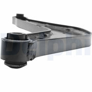Delphi Control/Trailing Arm Rear TC7009