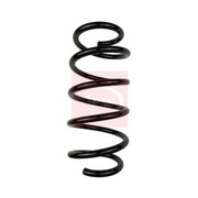 Apec Front Suspension Coil Spring ACS1675