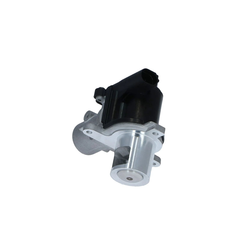 NRF Exhaust Gas Recirculation Valve 48386