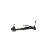 Delphi Control/Trailing Arm Lower TC552