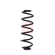 Apec Rear Suspension Coil Spring ACS2076