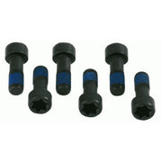 Sachs Dmf Screw Set (Special Order) 1874000035 71739389 1874000035