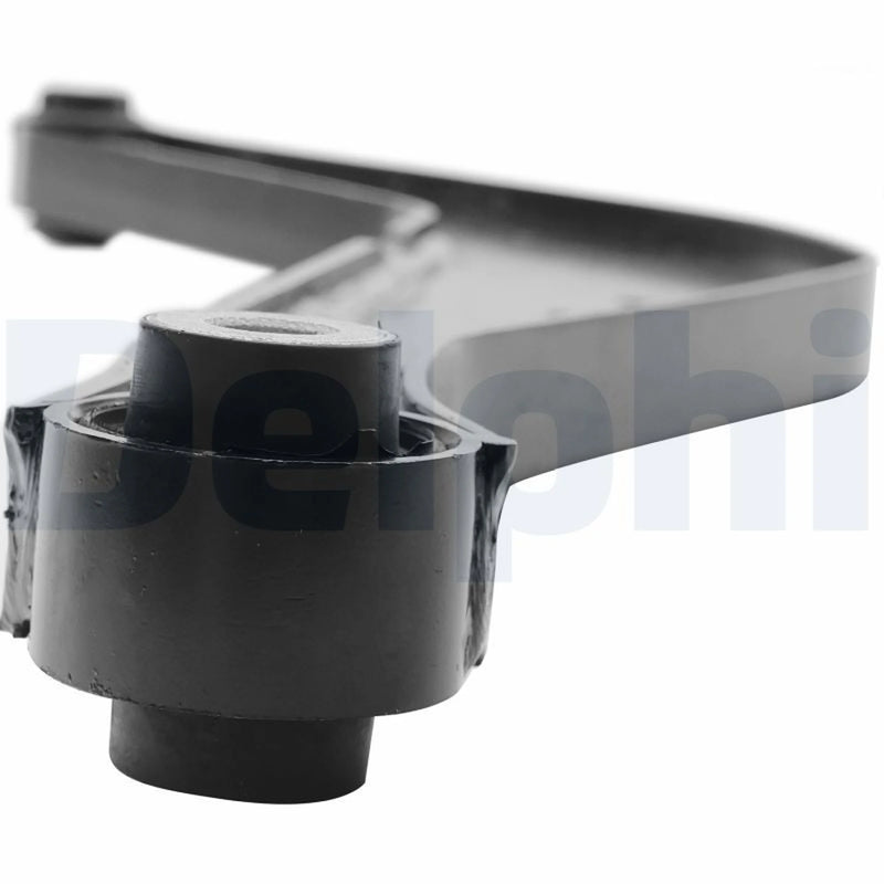 Delphi Control/Trailing Arm Rear TC7010