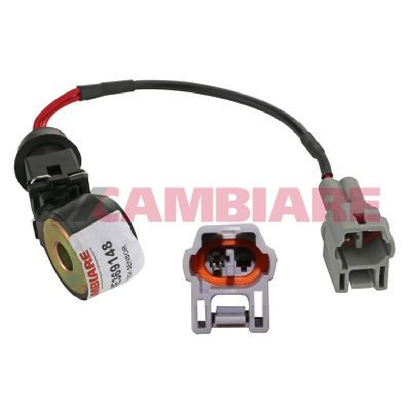 Cambiare Engine Knock Sensor VE369148