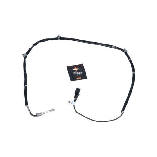 NRF Exhaust Gas Temperature Sensor after soot particulate filte 707153
