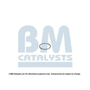BM Catalysts Fitting Kit FK80213A FK80213A