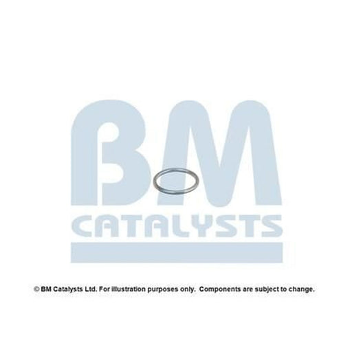 BM Catalysts Fitting Kit FK90525A FK90525A