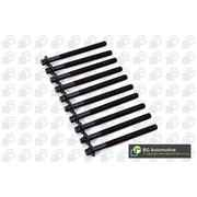 BGA Cylinder Head Bolt Set M10 BK4338