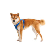 Ruffwear Front Range Dog Harness - Coastal Mountains Print (X Small) - Ruffwear - Van Life Living