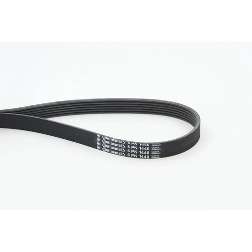 Continental CTAM Multi V-Ribbed Drive Belt 6PK1440