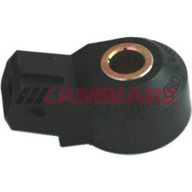 Cambiare Engine Knock Sensor VE369153