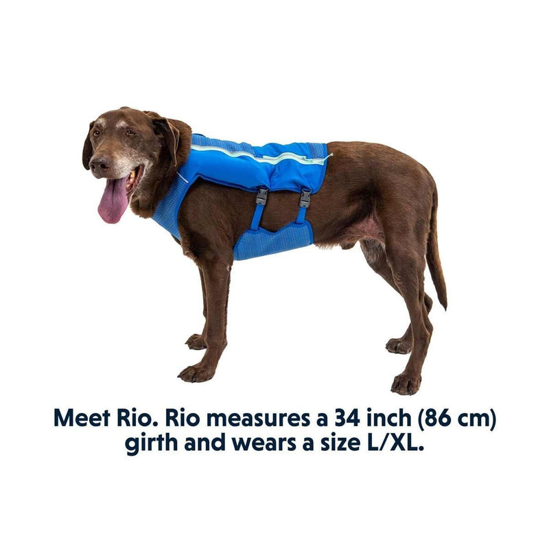 Ruffwear Trail Runner Dog Running Vest in Blue Pool (Medium) - Ruffwear - Van Life Living