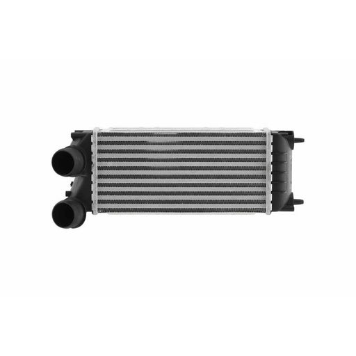 Hella Intercooler (Charge Air Cooler) 8ML 366 471-041