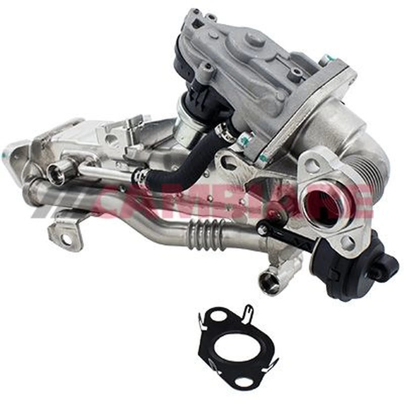 Cambiare EGR Exhaust Gas Recirculation Module VE360336