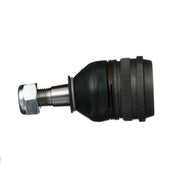 Delphi Ball Joint Upper TC3717