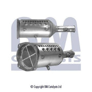 BM Catalysts Sic Dpf BM11004P
