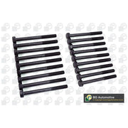BGA Cylinder Head Bolt Set M11 BK5311