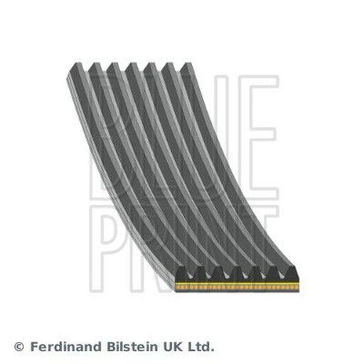 Blue Print Multi V-Ribbed Drive Belt AD07A1119