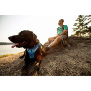 Ruffwear Front Range Dog Harness - Coastal Mountains Print (X Small) - Ruffwear - Van Life Living