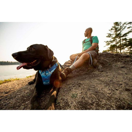 Ruffwear Front Range Dog Harness - Coastal Mountains Print (X Small) - Ruffwear - Van Life Living