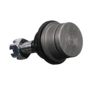 Delphi Ball Joint Lower TC3665