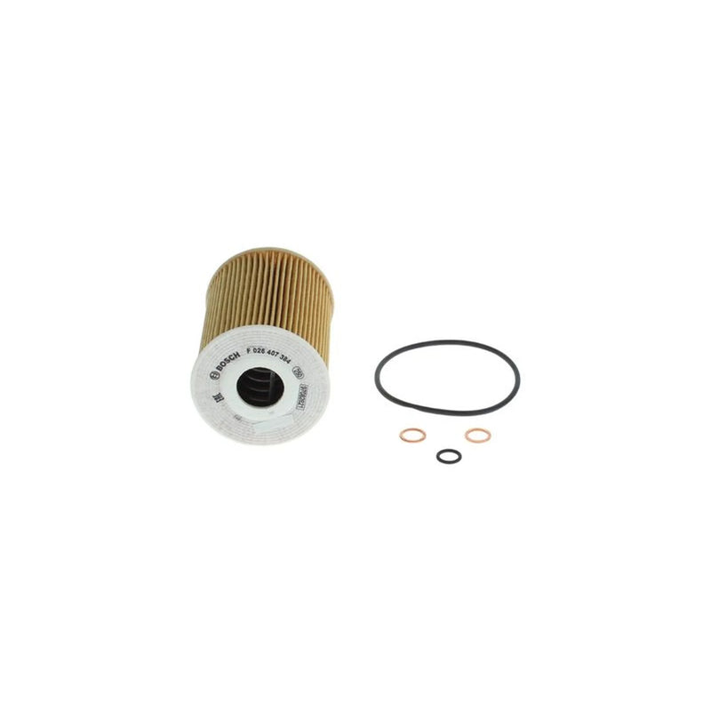 Bosch Engine Oil Filter F 026 407 384