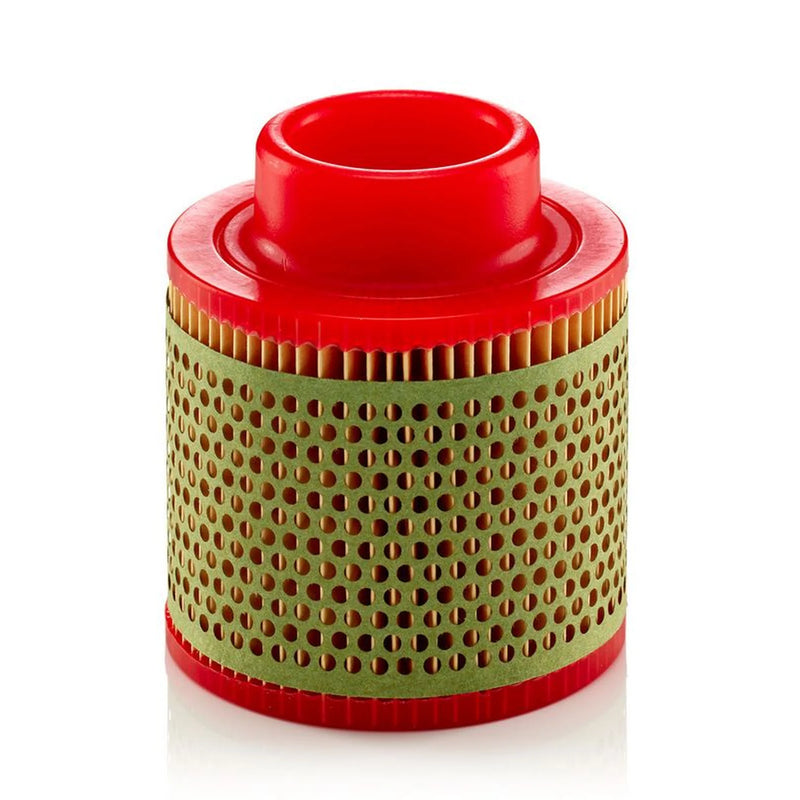 MANN-FILTER Engine Air Filter C 1131