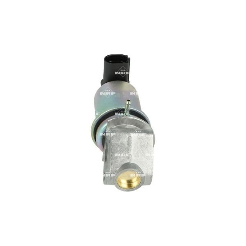 NRF Exhaust Gas Recirculation Valve 48330